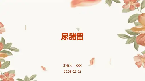 尿潴留演示课件