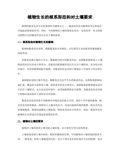 植物生长的根系形态和对土壤要求
