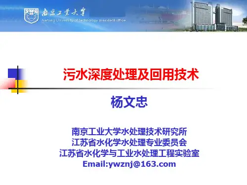 杨文忠--污水深度处理及回用技术