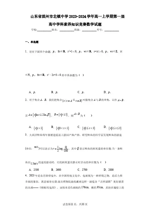 山东省滨州市北镇中学2023-2024学年高一上学期第一届高中学科素养知识竞赛数学试题