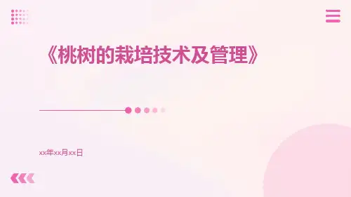 桃树的栽培技术及管理