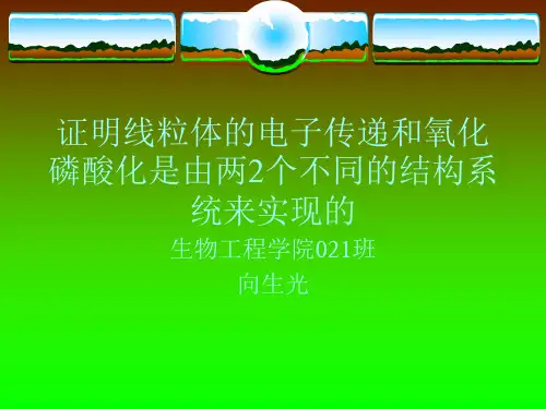 证明线粒体的电子传递和氧化磷酸化是由两2个不同的结构.