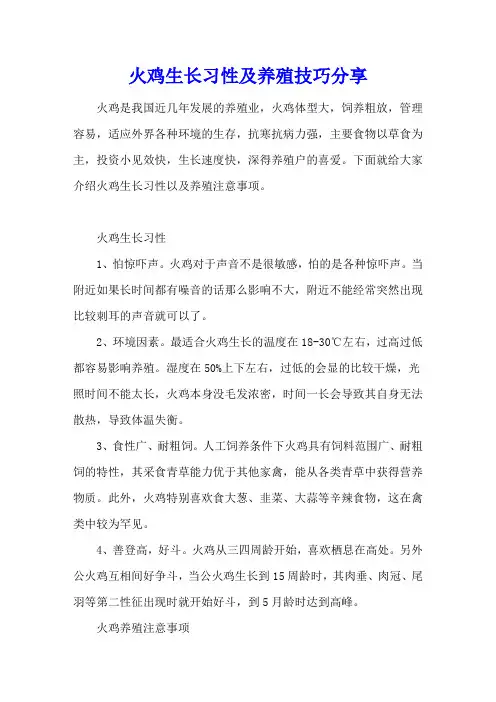 火鸡生长习性及养殖技巧分享