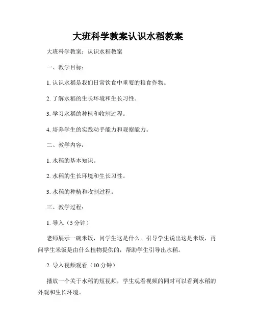 大班科学教案认识水稻教案