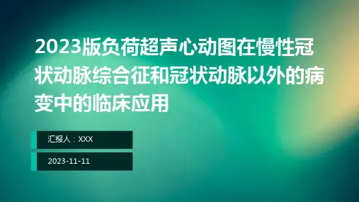 2023版负荷超声心动图在慢性冠状动脉综合征和冠状动脉以外的病变中的临床应用ppt课件