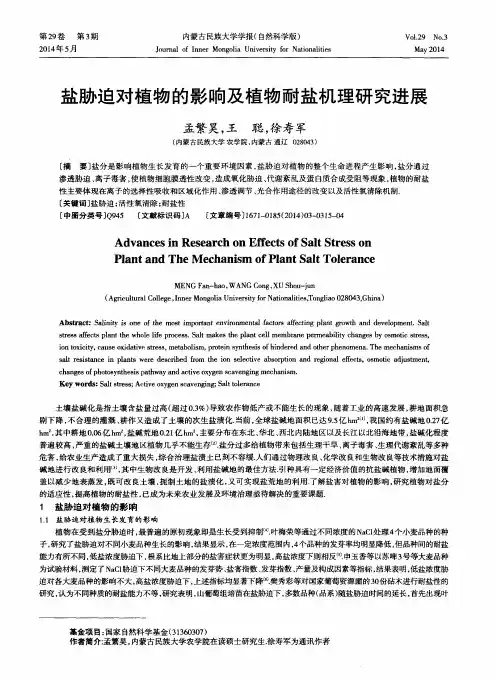 盐胁迫对植物的影响及植物耐盐机理研究进展