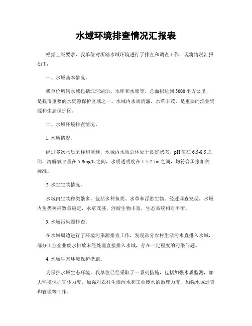 水域环境排查情况汇报表
