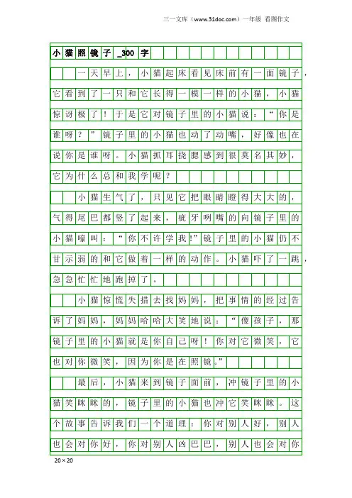 一年级看图作文：小猫照镜子_300字