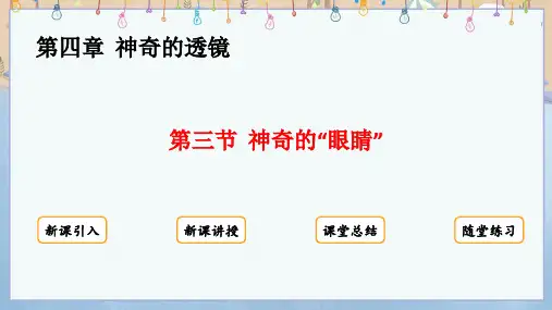2024年秋新沪科版8年级上册物理教学课件 第4章  神奇的透镜 第3节  神奇的“眼睛”