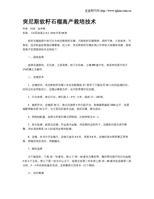 突尼斯软籽石榴高产栽培技术