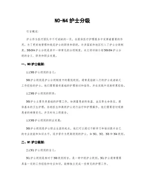 N0-N4护士分级