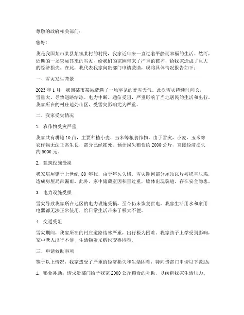 家里受到雪灾申请报告