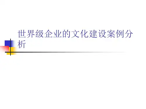 世界级企业的文化建设案例分析