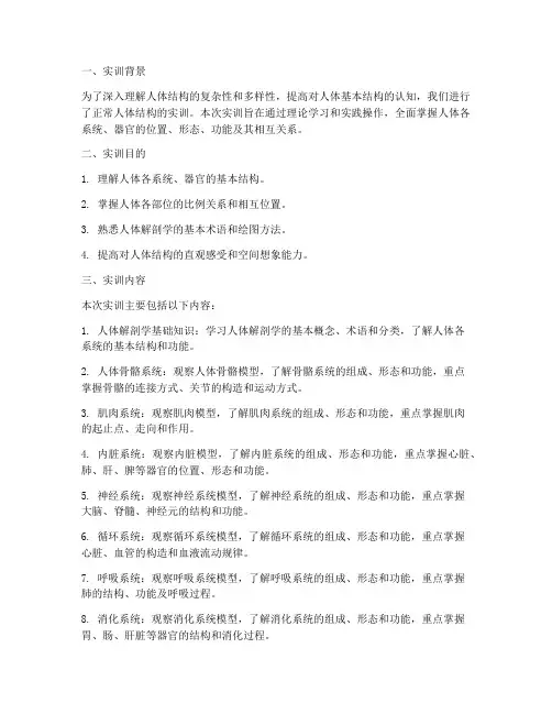 正常人体结构的实训报告