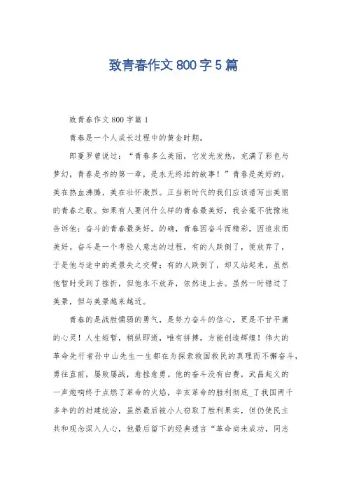 致青春作文800字5篇