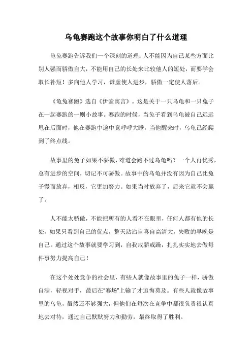 乌龟赛跑这个故事你明白了什么道理
