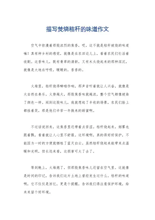 描写焚烧秸秆的味道作文