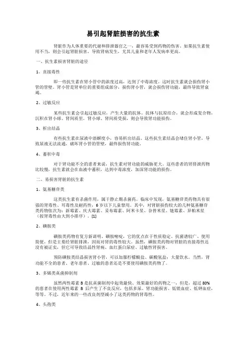 易引起肾脏损害的抗生素