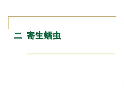 寄生蠕虫ppt课件