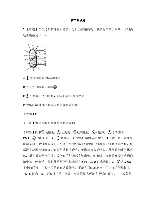 初中生物济南版七年级上册第二单元 多彩的生物世界第二节 细菌-章节测试习题(1)