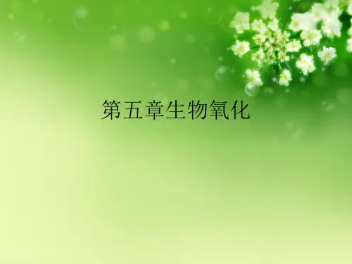 第五章生物氧化优秀课件