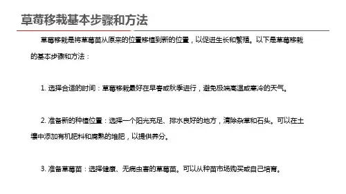草莓移栽基本步骤和方法
