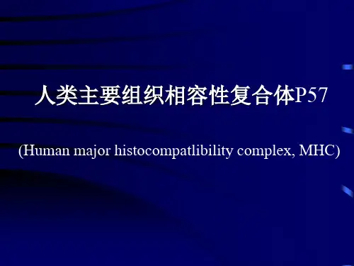 3人类主要组织相容性复合体(复习题).
