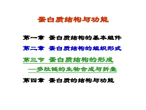 第二章 蛋白质结构的组织形式