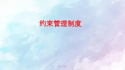 约束管理制度PPT课件