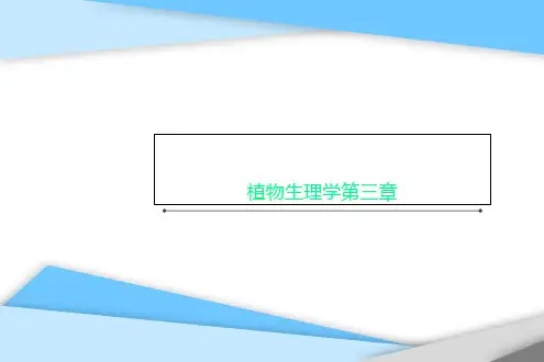 植物生理学第三章