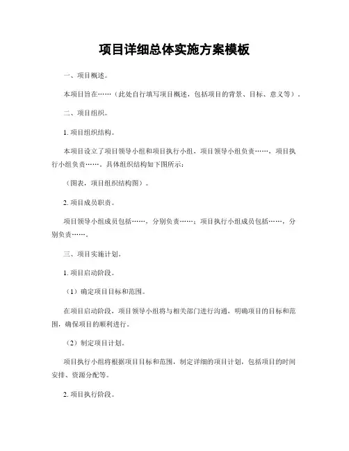 项目详细总体实施方案模板