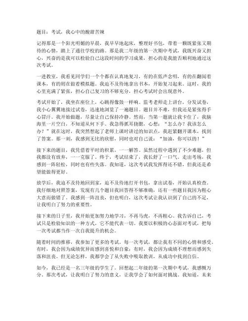 考试的心情和感受二年级作文