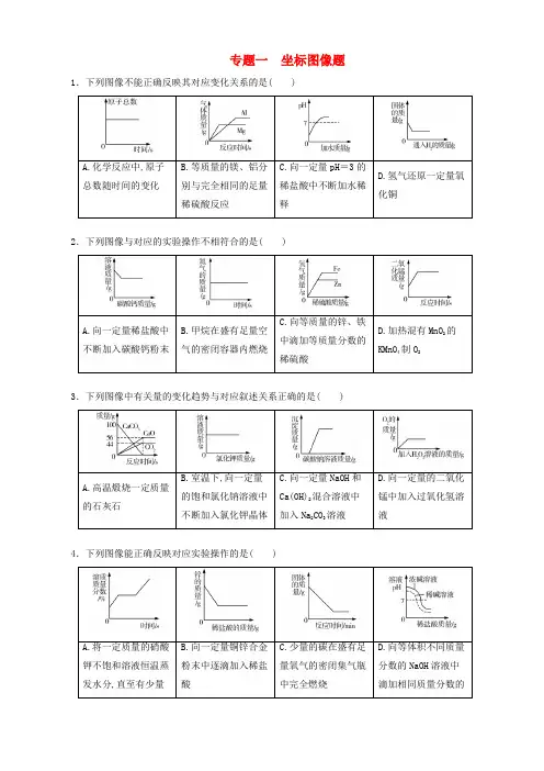 中考化学总复习专题一坐标图像题课时练习