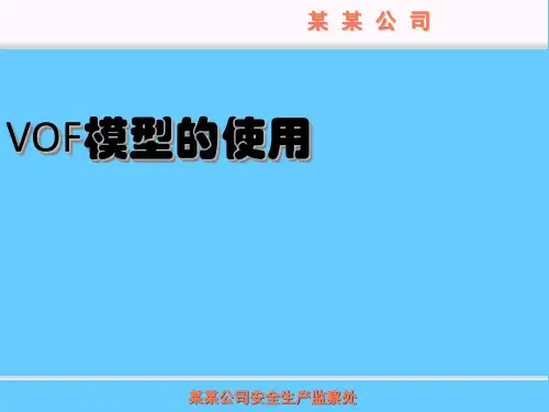 VOF模型的使用实例