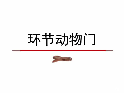 《动物学》课件——环节动物、软体动物