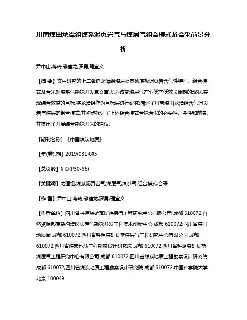 川南煤田龙潭组煤系泥页岩气与煤层气组合模式及合采前景分析