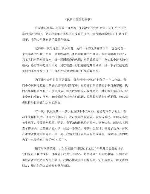 我和小金鱼的故事
