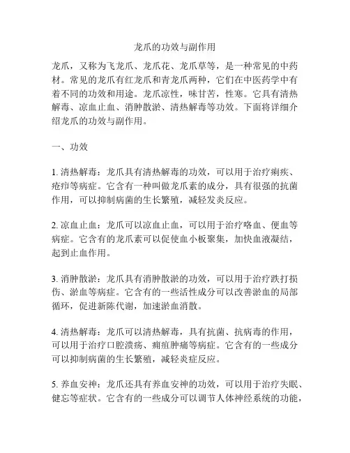 龙爪的功效与副作用