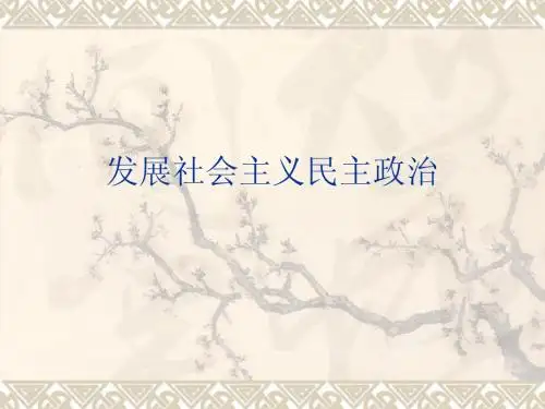 社会主义民主政治