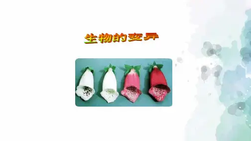 苏教版-生物-八年级下册-8.22.5生物的变异教学课件