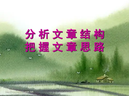 分析文章结构_把握文章思路