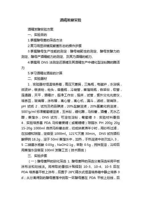 酒精发酵实验