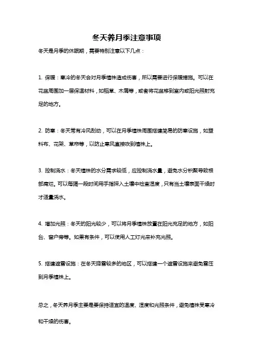 冬天养月季注意事项