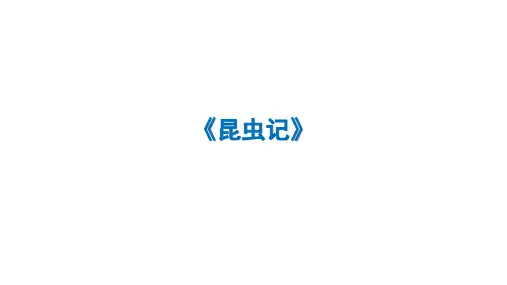 第五单元名著导读《昆虫记》复习课件(共34张ppt)+2023-2024学年统编版语文八年级上册