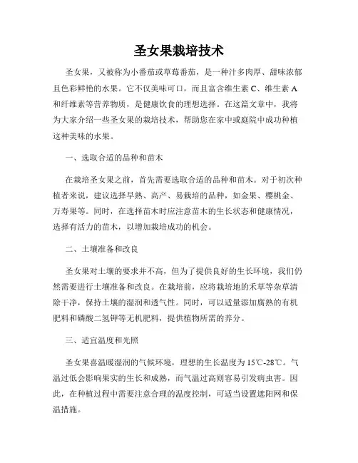 圣女果栽培技术