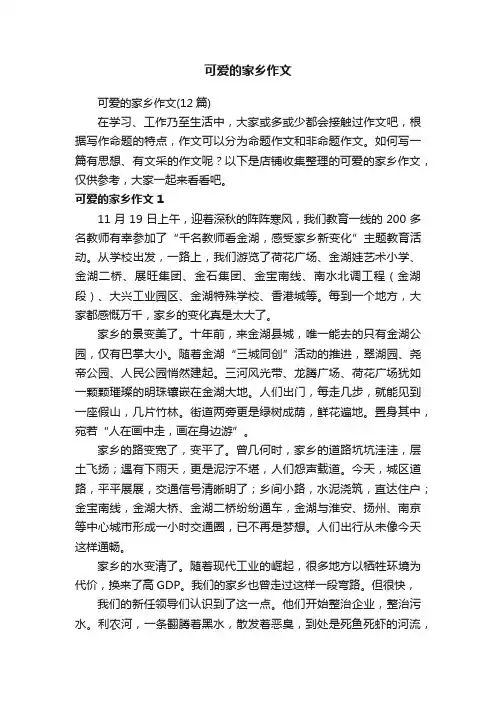 可爱的家乡作文
