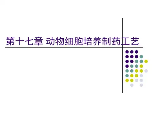 动物细胞培养制药工艺