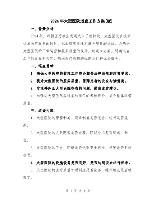 2024年大型医院巡查工作方案(度)