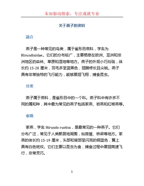 关于燕子的资料