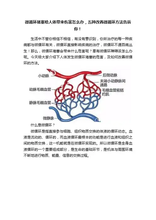 微循环堵塞给人体带来伤害怎么办，五种改善微循环方法告诉你！